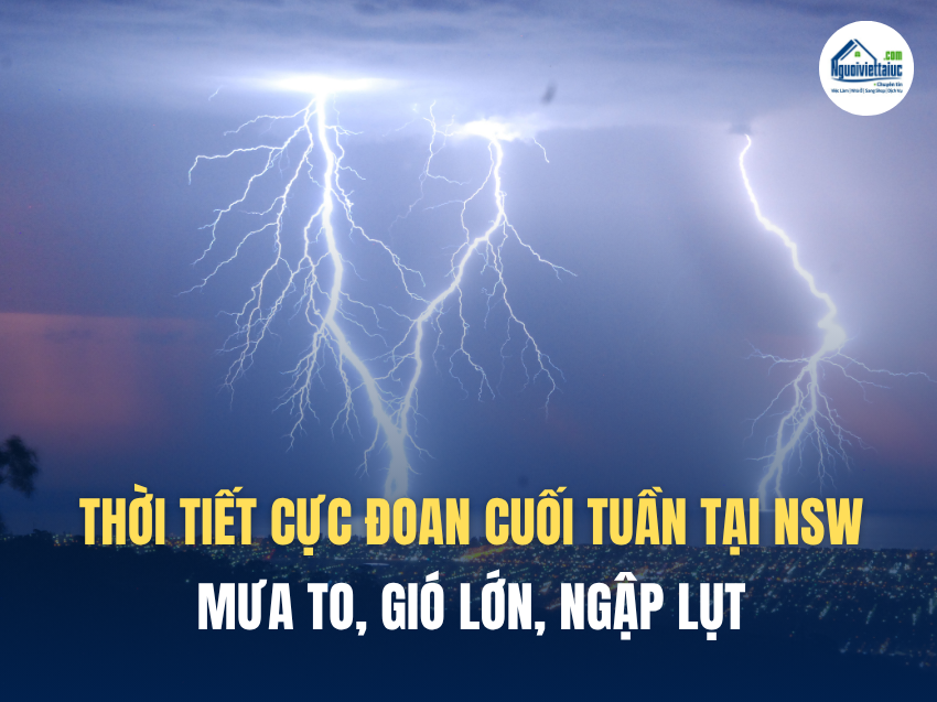 NSW cảnh báo mưa lớn, gió mạnh và nguy cơ ngập cuối tuần